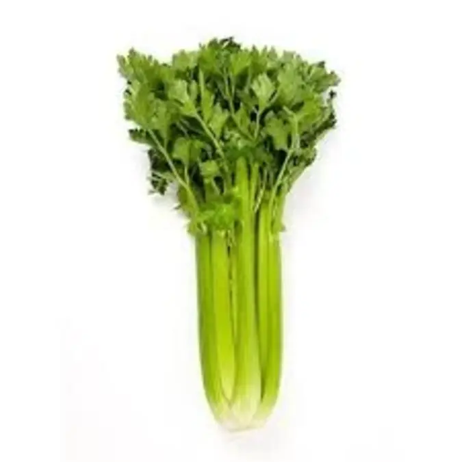 Celery P-Kg